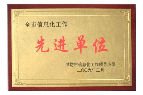 我司榮獲“全市信息化工作先進單位”