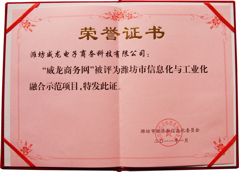 威龍公司喜獲濰坊市首批信息化與工業(yè)化融合優(yōu)秀服務(wù)機構(gòu)稱號