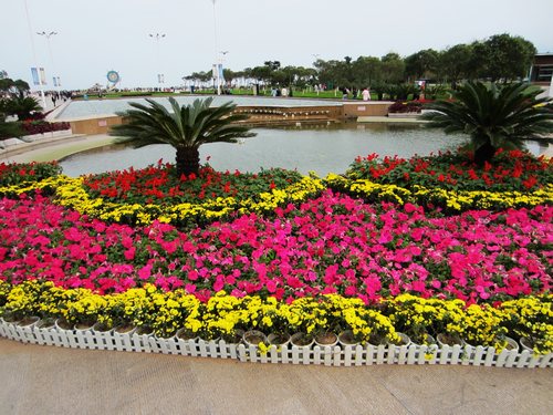 十一假期海邊、天馬島兩日游