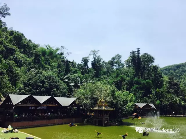 濰坊威龍電子商務(wù)精英團—云南雙飛6日游