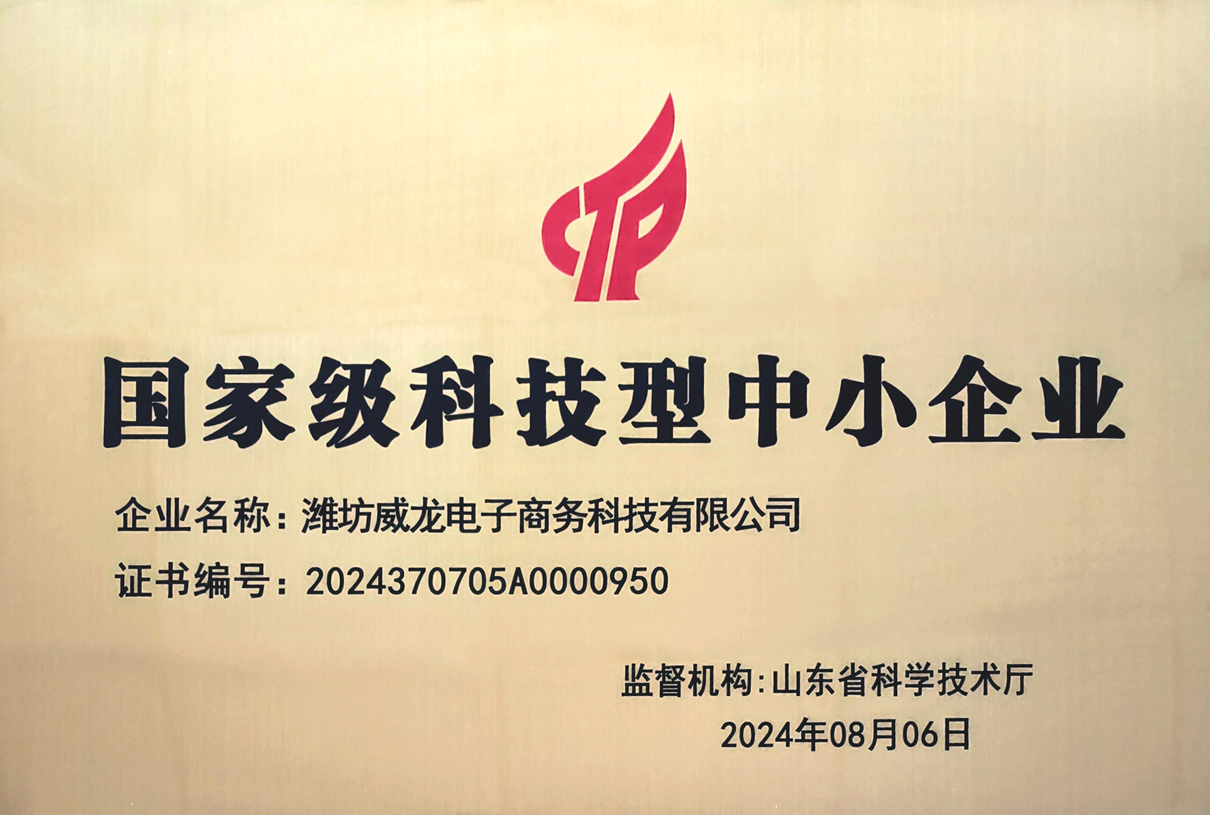 國(guó)家級(jí)科技型中小企業(yè)